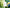 Promotion banner