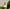 Promotion banner