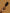 Dual Bristle Brush