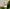 Promotion banner