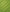 Green Tea Extract